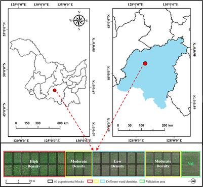 Identification and Comprehensive Evaluation of Resistant Weeds Using Unmanned Aerial Vehicle-Based Multispectral Imagery